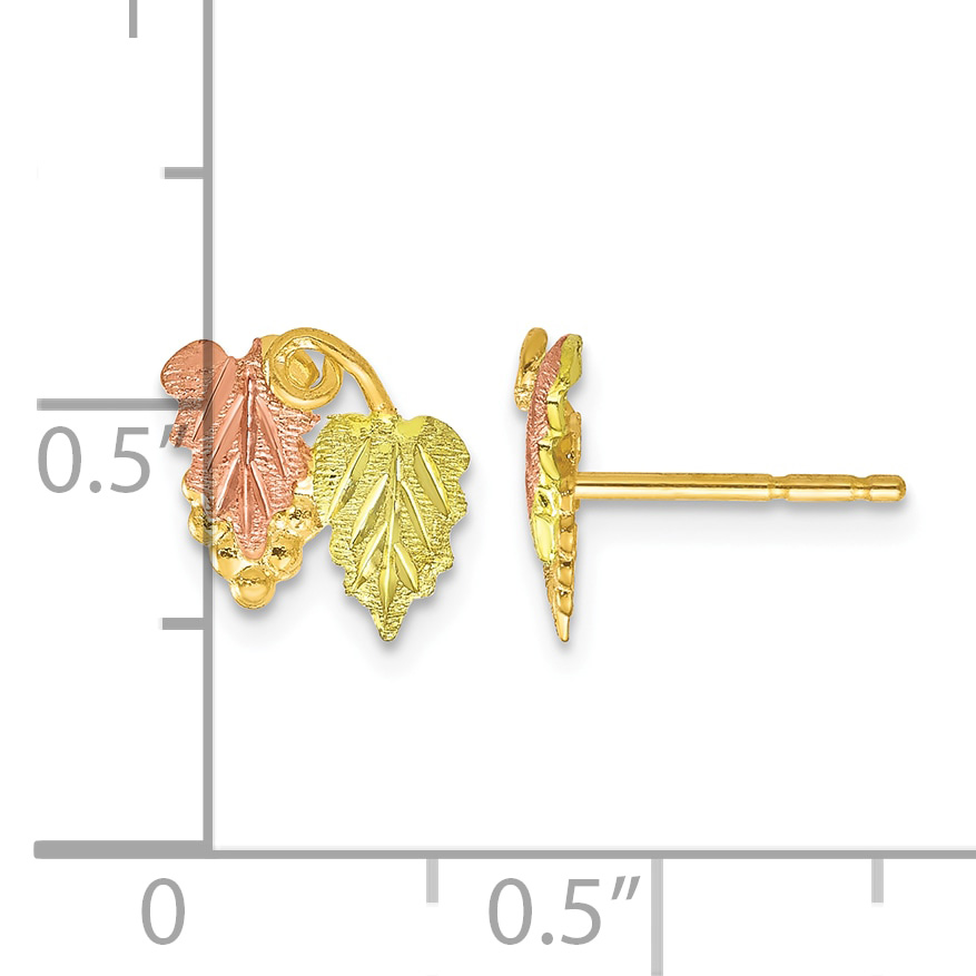 12k Tri-color Black Hills Grapes and Leaves Post Earrings 10x9mm 10k detailed image 4