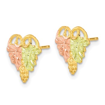 10k Tri-Color Black Hills Gold Post Earrings — alternate view