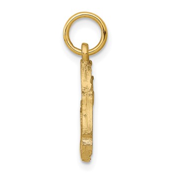 10k Fish Charm — alternate view