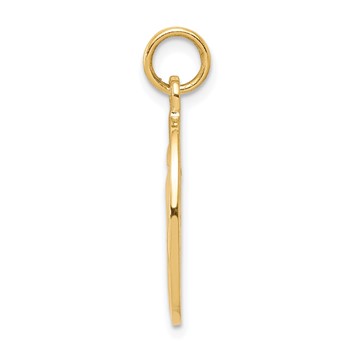 10K Miraculous Medal — alternate view