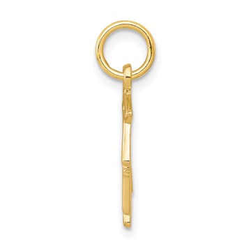 10k Graduation Owl Charm — alternate view