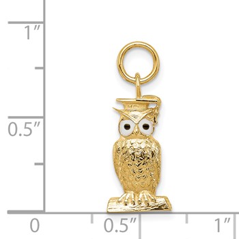 14K Enameled Graduation Owl Charm — alternate view