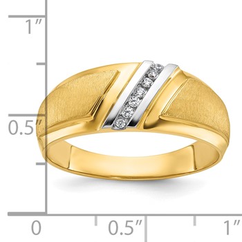 10k IBGoodman Men's Polished and Satin Ring Mounting — alternate view