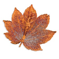 Image of Iridescent Copper Dipped Real Full Moon Maple Leaf Pin Brooch