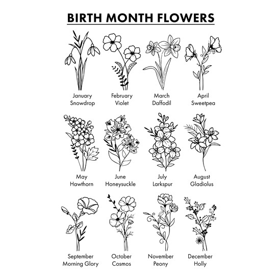 Birth month flowers chart