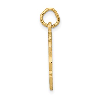 14k RN Registered Nurse Textured Back Disc Charm — alternate view