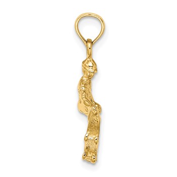 14K Solid Polished 3-D Skateboarder Charm — alternate view