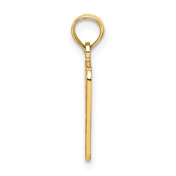 14k BIRTH CERTIFICATE Charm — alternate view