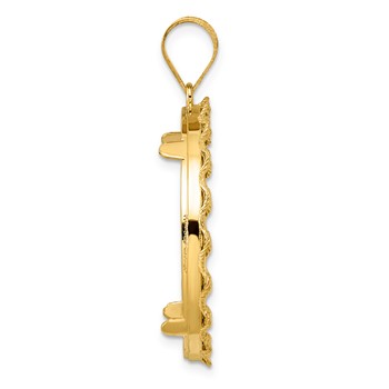 14k Polished Rope with 27.0mm Prong Coin Bezel Pendant — alternate view