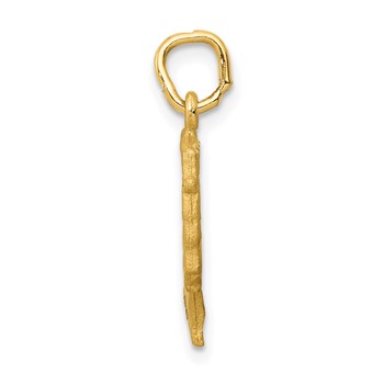 14K Satin Front / Polished Back Nefertiti Charm — alternate view