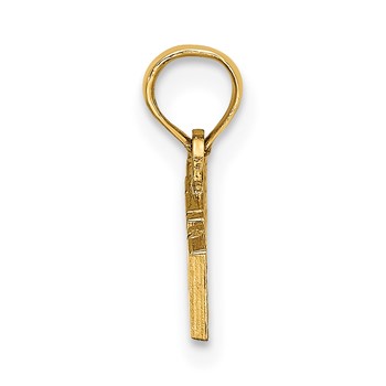 14k Polished ALASKA Charm — alternate view