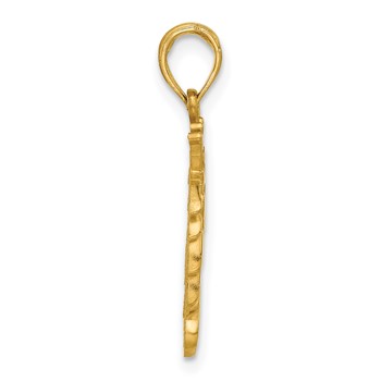 14K Polished Lion Head with Crown Pendant — alternate view