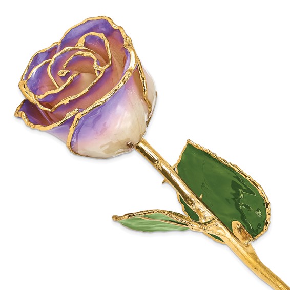 Lacquer Dipped Silver Trim White/Blue Opal Rose