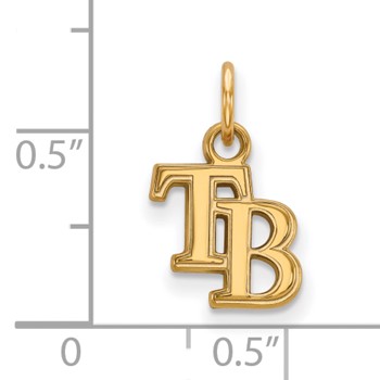 14k Gold Major League Baseball LogoArt Tampa Bay Rays Letters T-B Extra Small Pendant — alternate view
