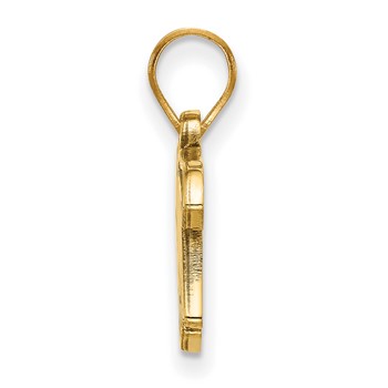 14k Gold Major League Baseball LogoArt Minnesota Twins T-C Small Pendant — alternate view