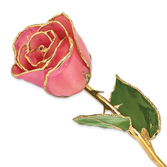 Lacquer Dipped Gold Trim Lilac Pink Real Rose