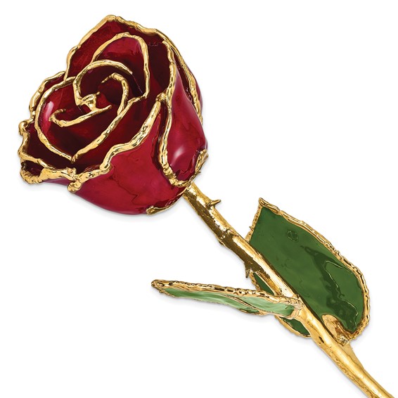 Lacquer Dipped 24k Gold Trim Pink & Burgundy Real Rose