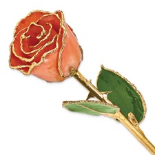 Lacquer Dipped Gold Trimmed Pink Real Rose - Quality Gold