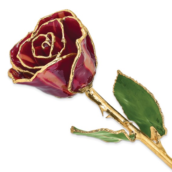 Lacquer Dipped Gold Trimmed Abracadabra Real Rose - Quality Gold