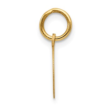 14k Horseshoe Charm — alternate view