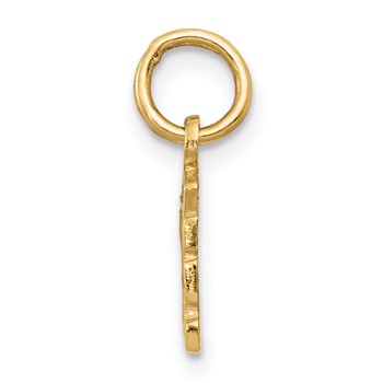 14k Swiss Cheese Charm — alternate view
