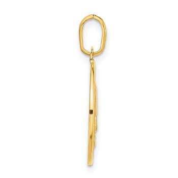 14k Yellow Gold Polished and Satin Papa Francesco Medal Pendant — alternate view