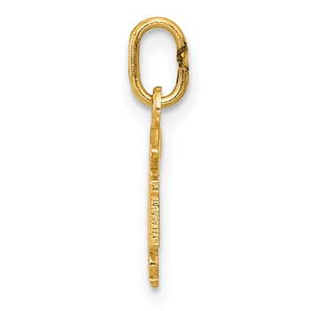 14k Diamond-cut Polished RN Registered Nurse Pendant — alternate view