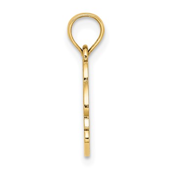 14K Textured NAGS HEAD with Dolphin Charm — alternate view