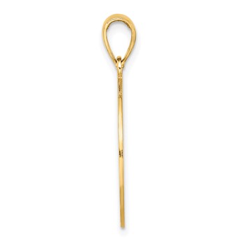 14K ST. GEORGE ISLAND with DOLPHINS Circle Charm — alternate view