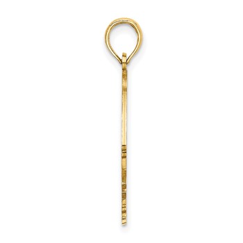 14K Polished Cut-Out ARUBA Under Angelfish Charm — alternate view