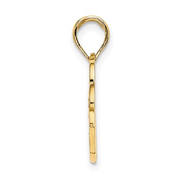 14K SAN DIEGO Banner Dolphins Charm — alternate view