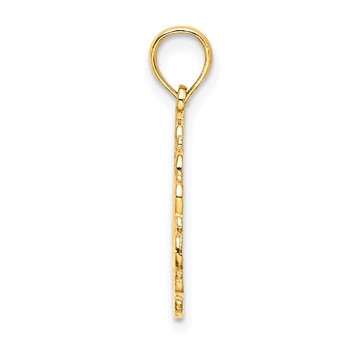 14K Star Of David In Scalloped Circle Charm — alternate view