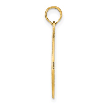 14K MARCO ISLAND with Dolphins Circle Pendant — alternate view