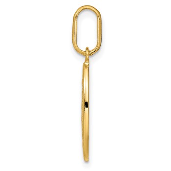 Leslie's 14k Polished and Matte Oval Miraculous Medal — alternate view