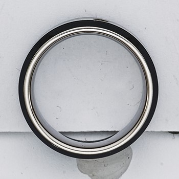 Titanium 8mm 0.05ct Diamond Double Groove & Black IP Edges Band — alternate view