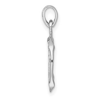 Sterling Silver Rhodium-plated Polished Reversible Aquarius in Circle Zodiac Pendant — alternate view