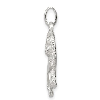 Sterling Silver Lion Charm — alternate view