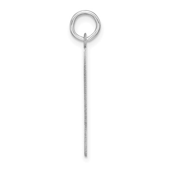 Sterling Silver Rhodium-plated Personalizable Birth Certificate Charm — alternate view