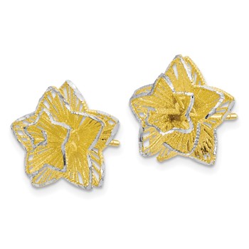 Leslie's Sterling Silver Gold-tone Star Earrings — alternate view