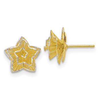 Leslie's Sterling Silver Gold-tone Star Earrings