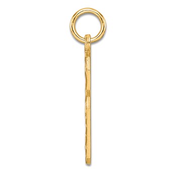 Sterling Silver Gold-plated Large Diamond-cut #6 Charm — alternate view