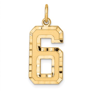Sterling Silver Gold-plated Large Diamond-cut #6 Charm