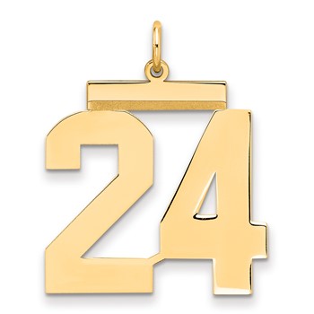 Sterling Silver/Gold-plated Polished Number 24 Charm