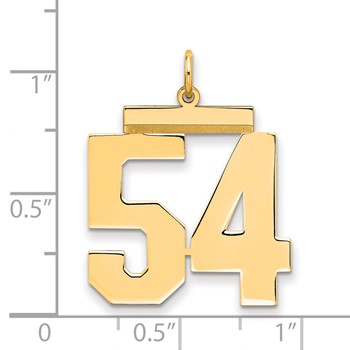 Sterling Silver/Gold-plated Polished Number 54 Charm — alternate view