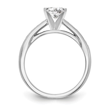 14k White Gold 1/5 carat Lab Grown Diamond VS/SI+ G+ Semi-Mount Pet Set Engagement Ring — alternate view