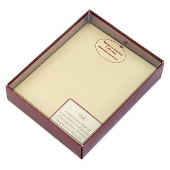 Lacquer Dipped Black Real Rose Silver-tone Post Earrings — alternate view