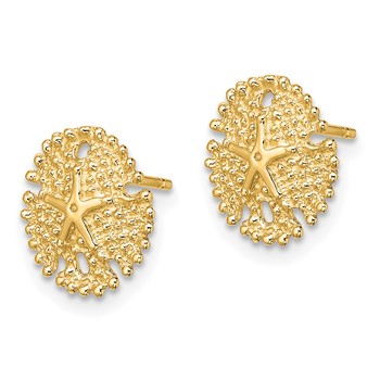 14K Textured Sand Dollar Post Earrings — alternate view