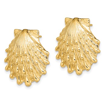 14K Lion's Paw Shell Post Earrings — alternate view
