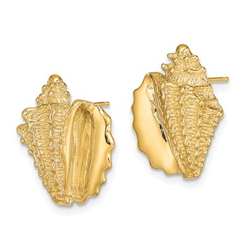 14K 2-D Conch Shell Post Earrings — alternate view