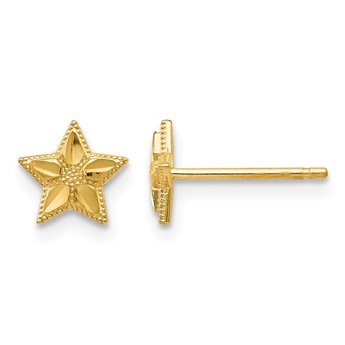 10k Polished & D/C Star Post Earrings